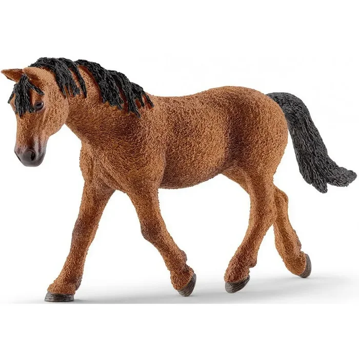 BASHKIR CURLY HORSE