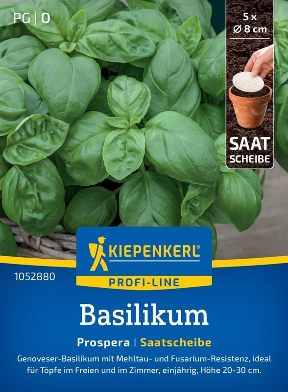 Basilikum Prospera, F1, Saatscheibe, Genoveser-Basilikum mit resistenzen – Ideal für Töpfe