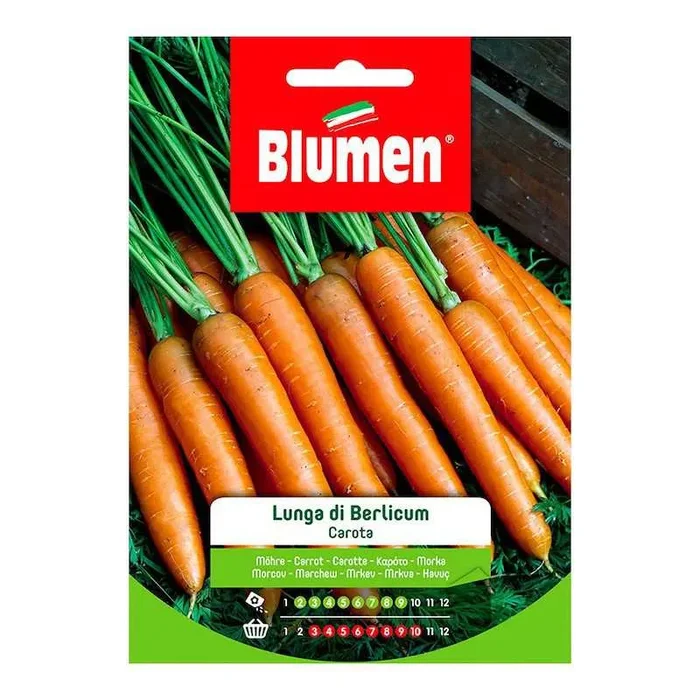 Berlicum Lange Karottensamen im Beutel