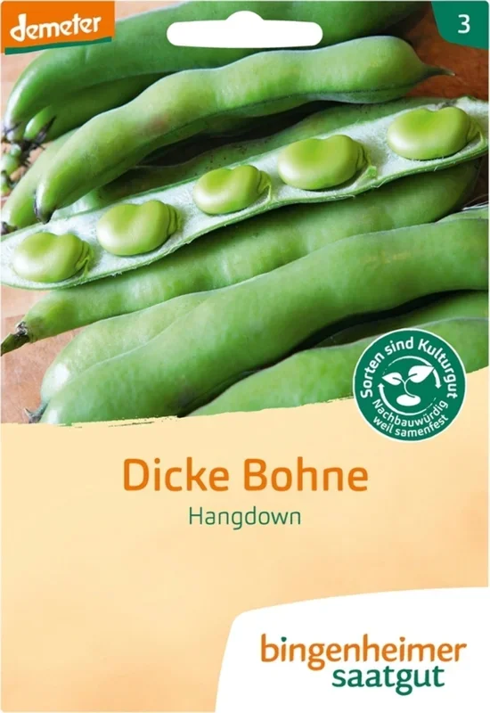 Bingenheimer Saatgut Dicke Bohne „Hangdown grünkernig“