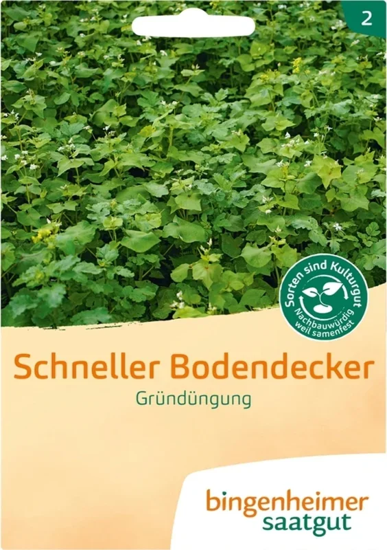 Bingenheimer Saatgut Gründüngung „Schneller Bodendecker“