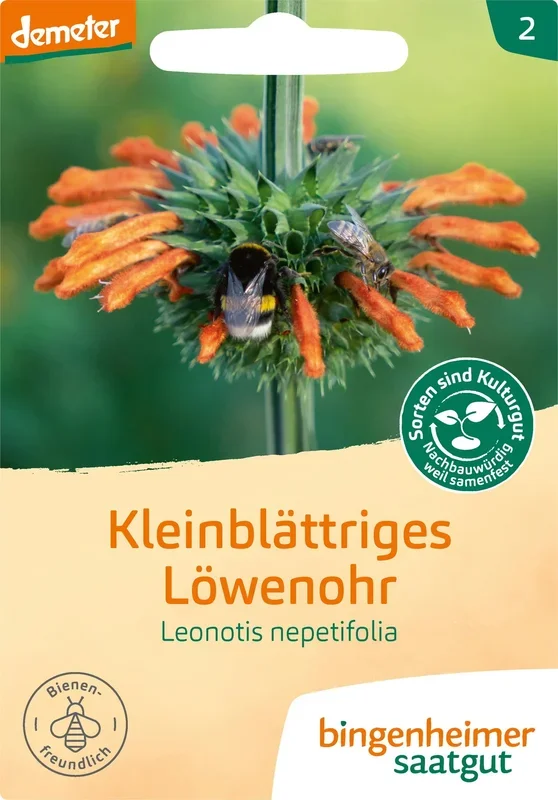 Bingenheimer Saatgut Kleinblättriges Löwenohr