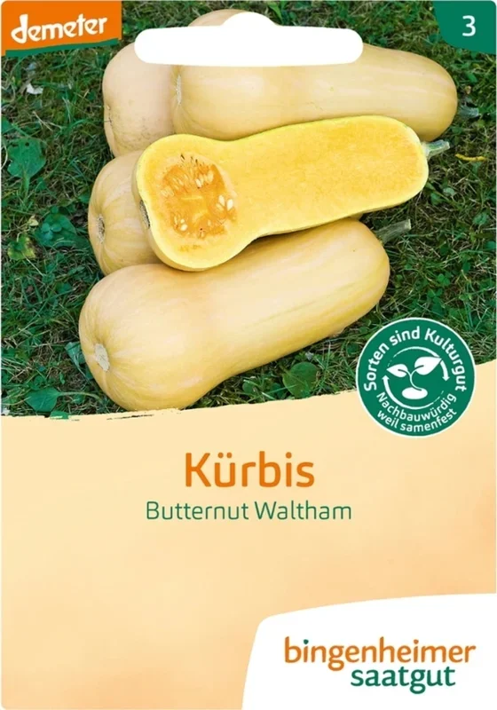 Bingenheimer Saatgut Kürbis „Butternut Waltham“