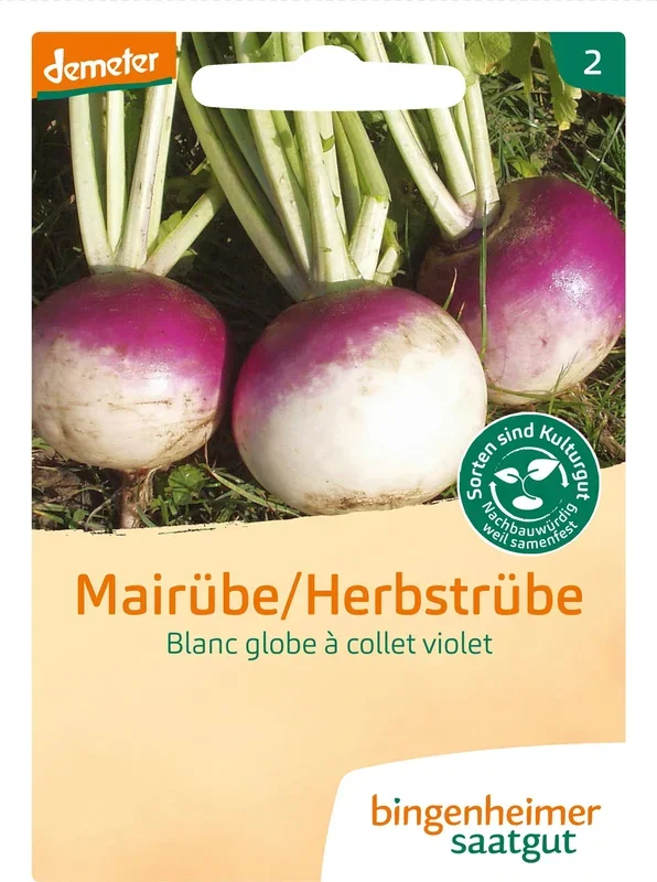 Bingenheimer Saatgut Mairübe „Blanc globe a collet violet“
