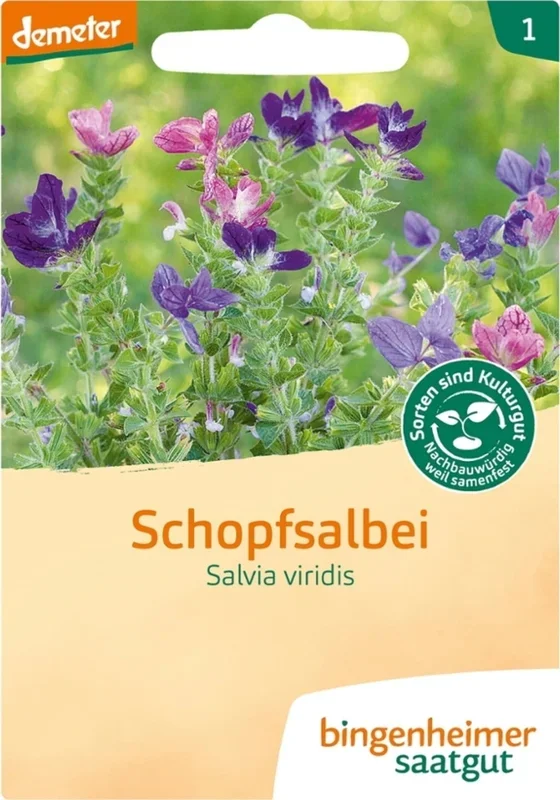 Bingenheimer Saatgut Schopfsalbei
