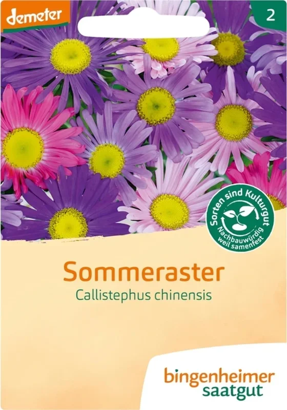Bingenheimer Saatgut Sommeraster