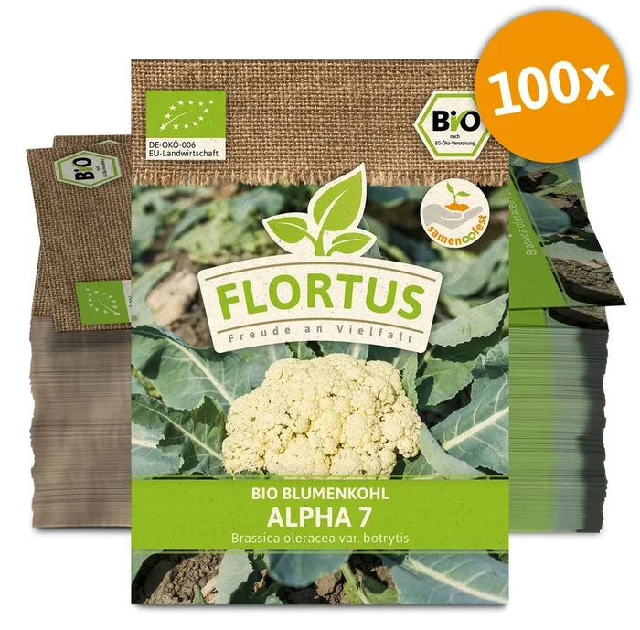 BIO Blumenkohl Alpha 7 (100 Stück)