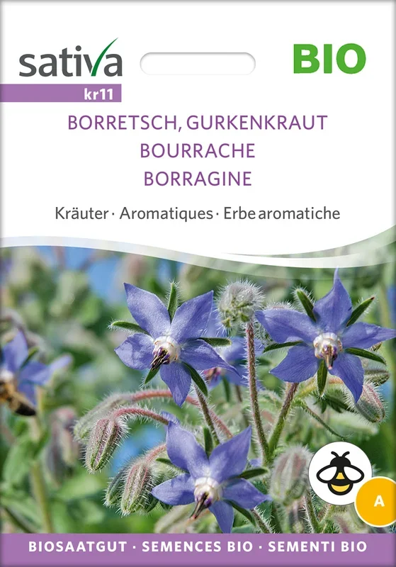 BIO Borretsch, Gurkenkraut [MHD 12/2025]