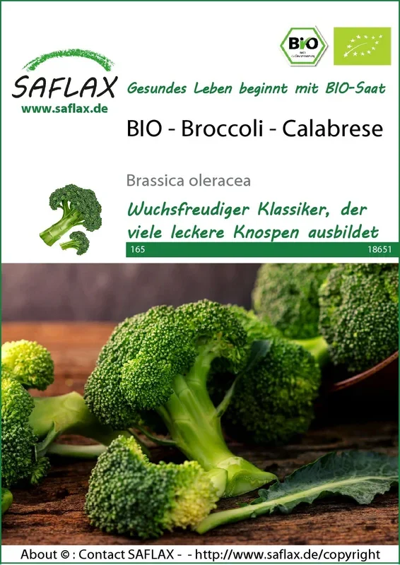 BIO Broccoli Calabrese [MHD 11/2023]