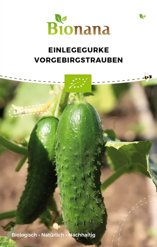 BIO Einlegegurke Vorgebirgstrauben [MHD 12/2023]