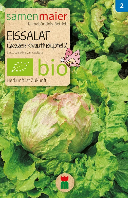 BIO Eissalat Grazer Krauthäuptel 2