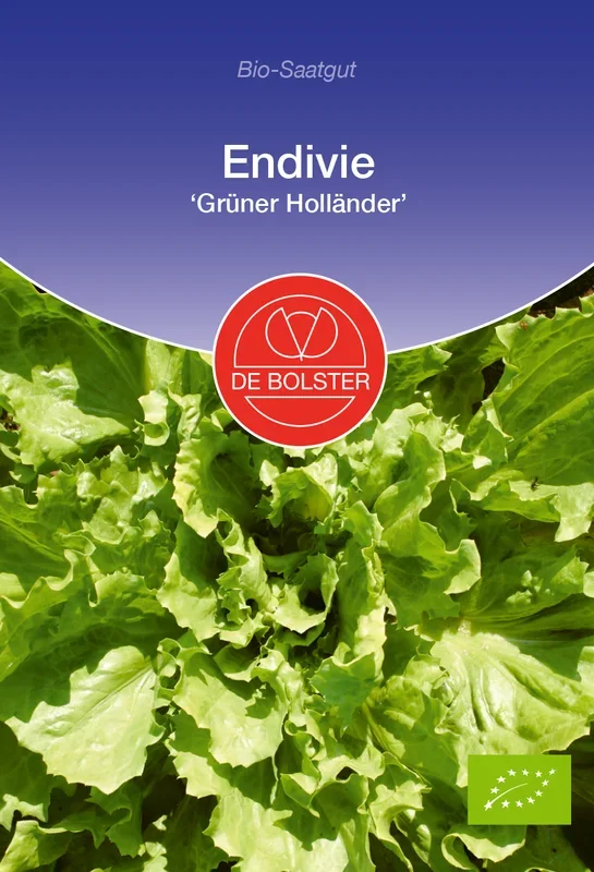 BIO Endivie Grüner Holländer [MHD 12/2024]