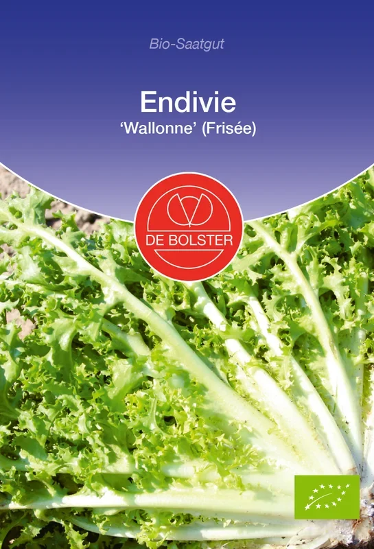 BIO Endivie Wallonne ( Frisée) [MHD 12/2024]