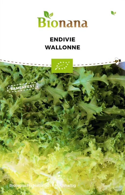 BIO Endivie Wallonne [MHD 12/2023]