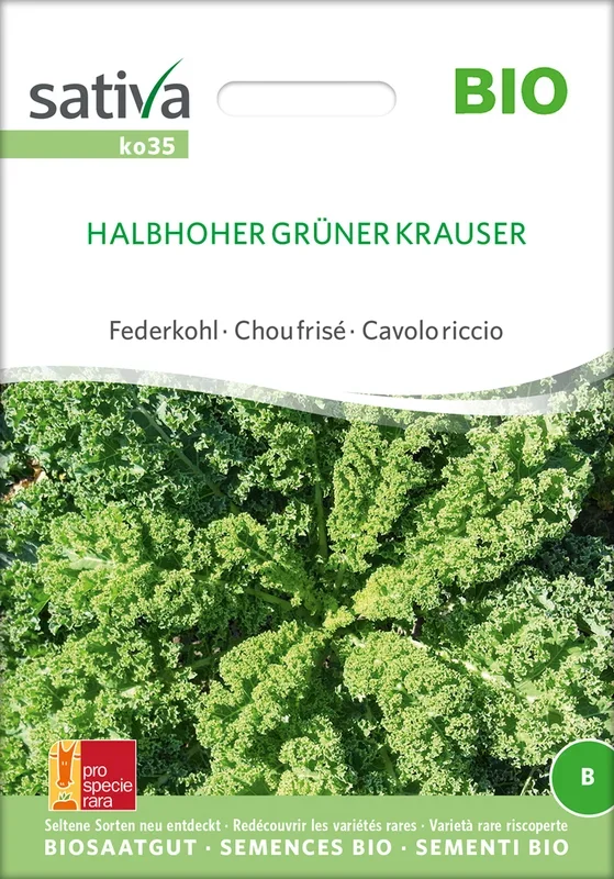 BIO Federkohl / Grünkohl Halbhoher Grüner Krauser [MHD 12/2025]