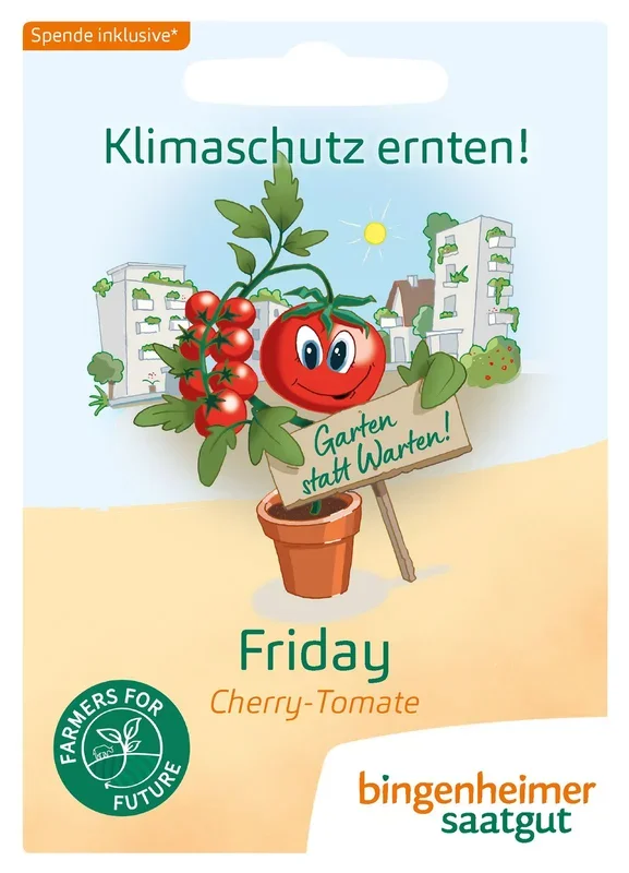 BIO Friday Klimatomate „Philamina“