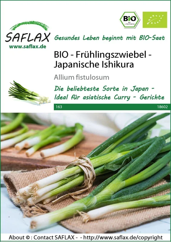 BIO Frühlingszwiebel Japanische Ishikura