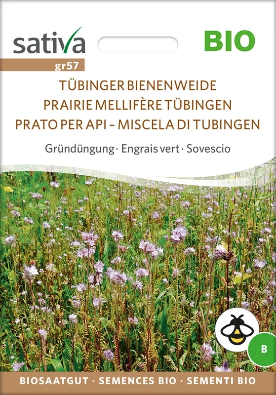 BIO Gründüngung Tübinger Bienenweide [MHD 12/2025]