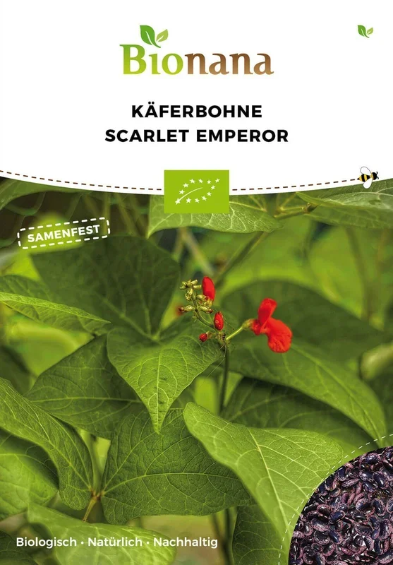 BIO Käferbohne Scarlet Emporer