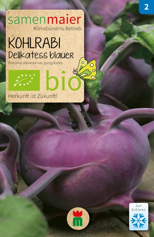 BIO Kohlrabi Delikatess blauer früh