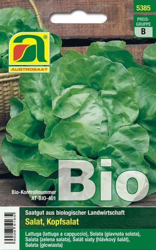 BIO Kopfsalat Admiral [MHD 12/2022]