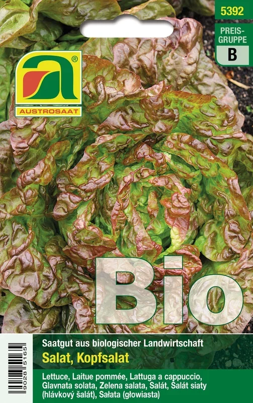 BIO Kopfsalat Merveille des quatre saisons [MHD 12/2025]