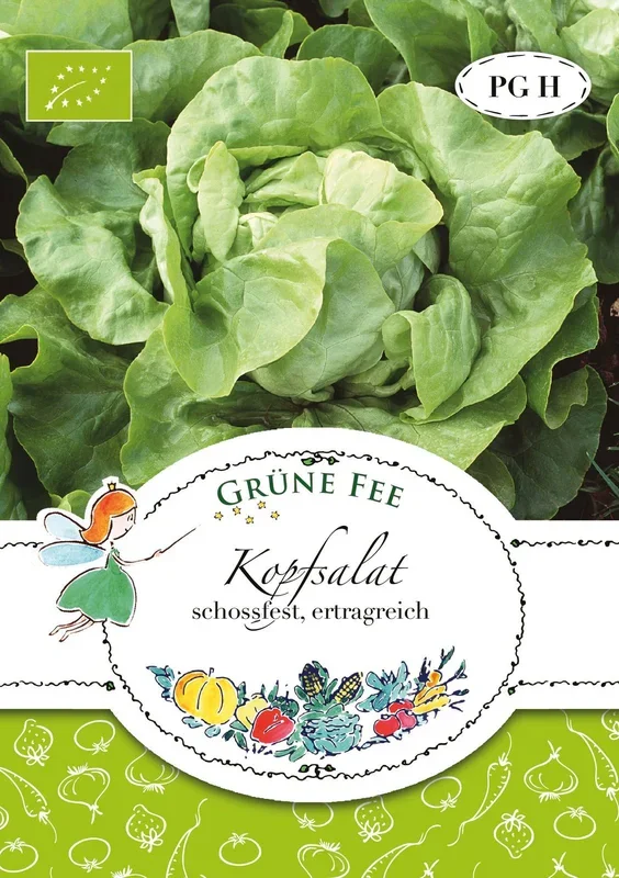 BIO Kopfsalat [MHD 01/2024]