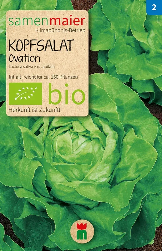 BIO Kopfsalat Ovation [MHD 12/2023]