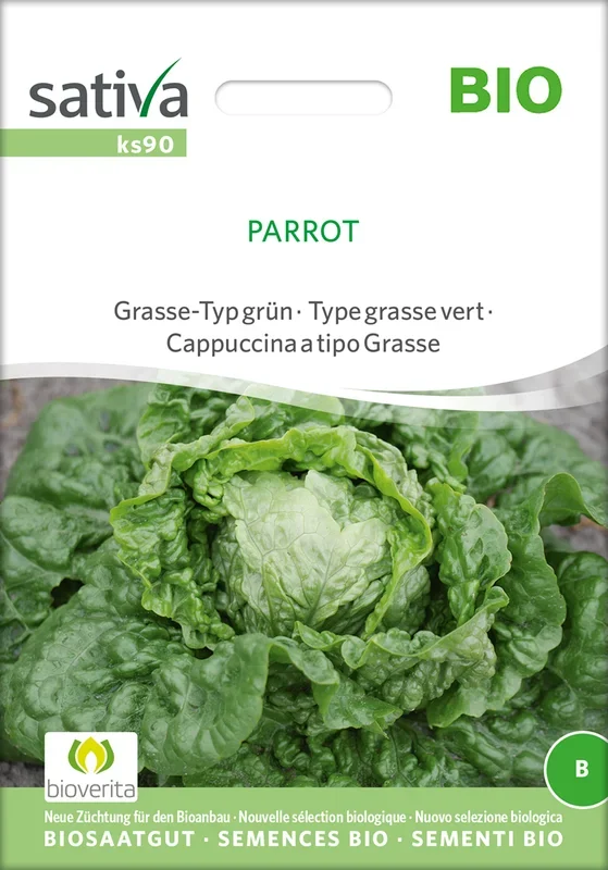 BIO Kopfsalat Parrot [MHD 12/2024]