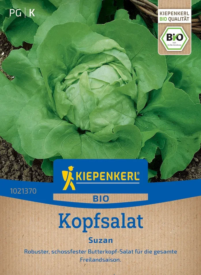 BIO Kopfsalatsamen Suzan