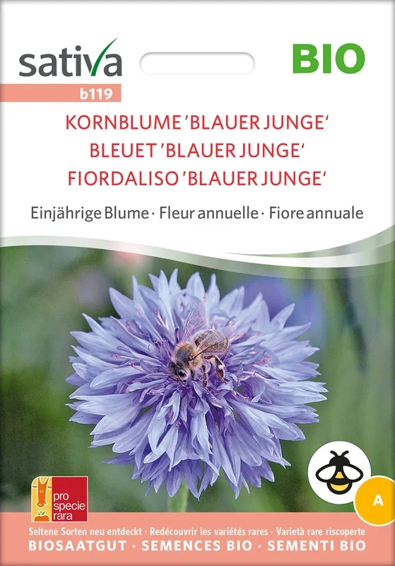BIO Kornblume Blauer Junge [MHD 12/2025]