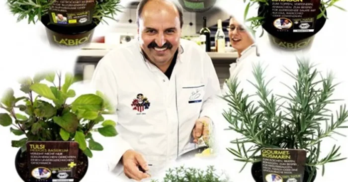 Bio Kräuter für Gourmets