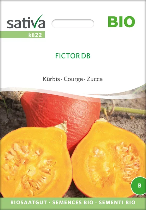 BIO Kürbis Fictor DB