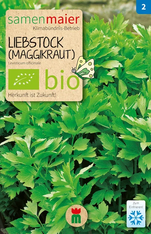 BIO Liebstock (Maggikraut) mehrjährig [MHD 12/2023]