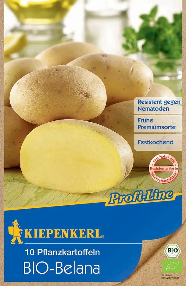 BIO-Pflanzkartoffel Belana, 10 Stück