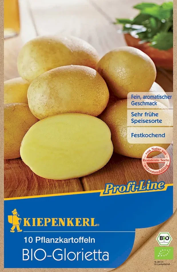 BIO-Pflanzkartoffel Glorietta, 10 Stück