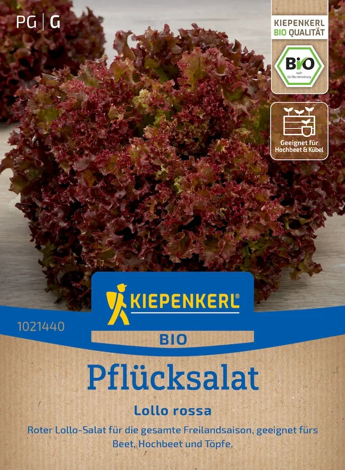 BIO Pflücksalatsamen Lollo rossa