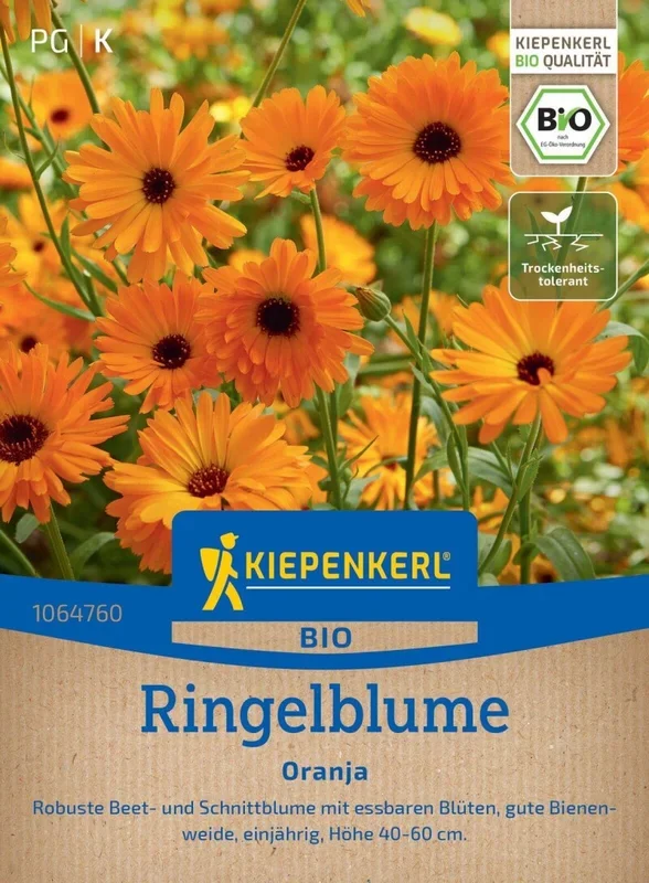 BIO Ringelblume Oranja, Robuste Beet- u Schnittblume – essbare Blüten – Höhe 40-60 cm