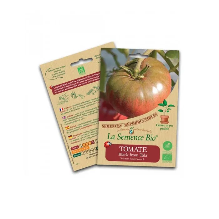 Bio-Saatgut – Schwarze Tomate aus Tula