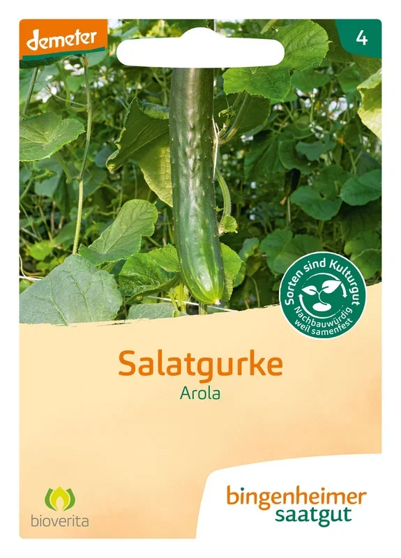 BIO Salatgurke Arola