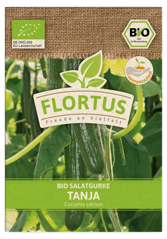 BIO Salatgurke Tanja