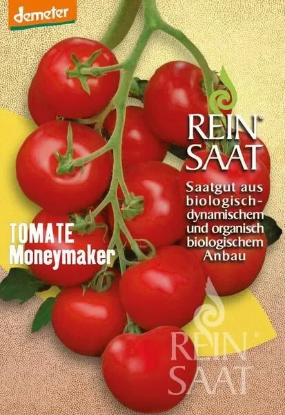 Bio Salattomate Moneymaker Samen
