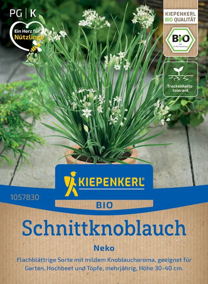 BIO Schnittknoblauchsamen Neko