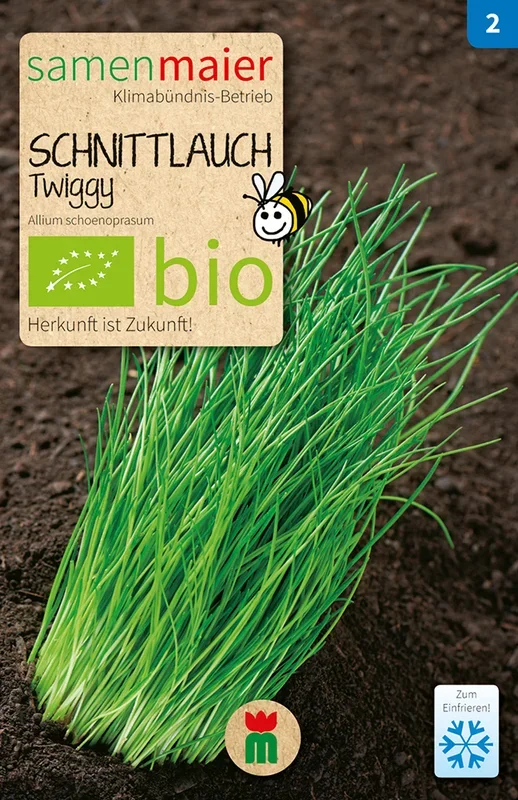 BIO Schnittlauch Twiggy feinröhrig mehrjährig