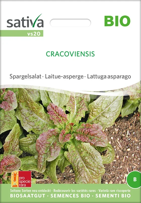BIO Spargelsalat Cracoviensis