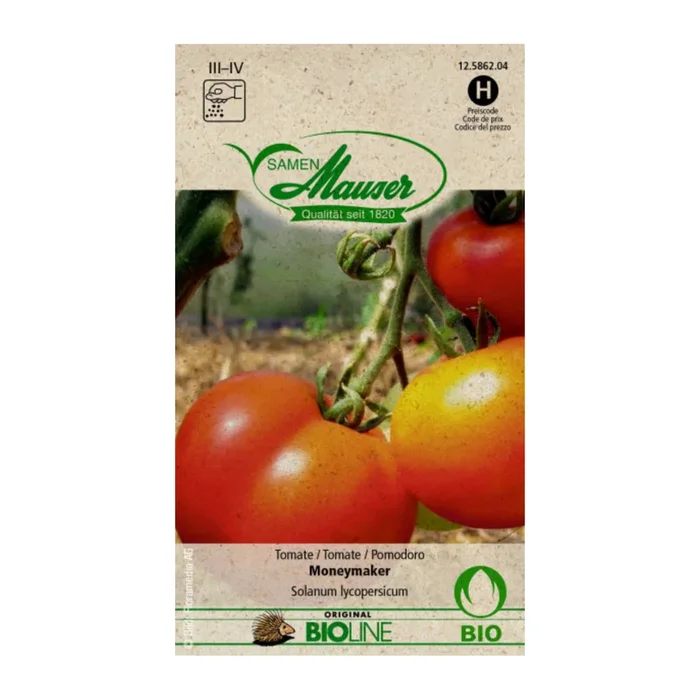 Bio Tomate ‚Moneymaker‘