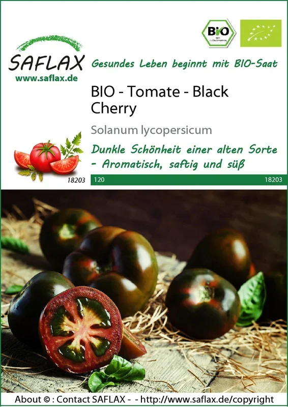 BIO Tomate Black Cherry