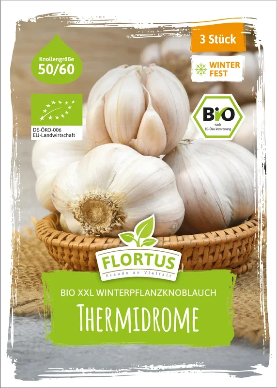BIO XXL Winterpflanzknoblauch Thermidrome