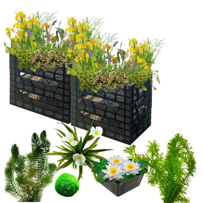 Biofilter 2 towers + Oxygen plants and water lilies