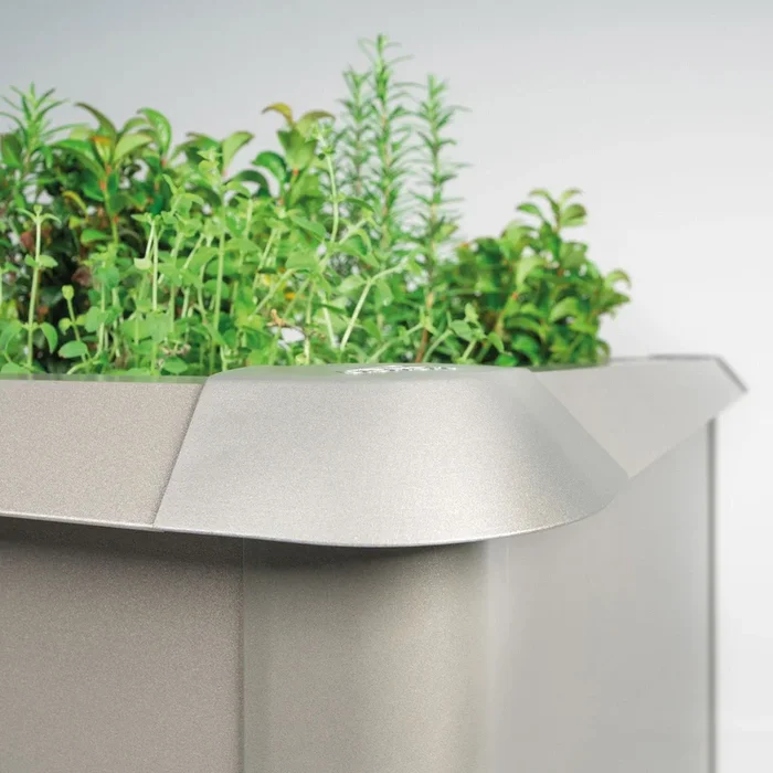 Biohort Schneckenschutz zum Schutz der Pflanzen